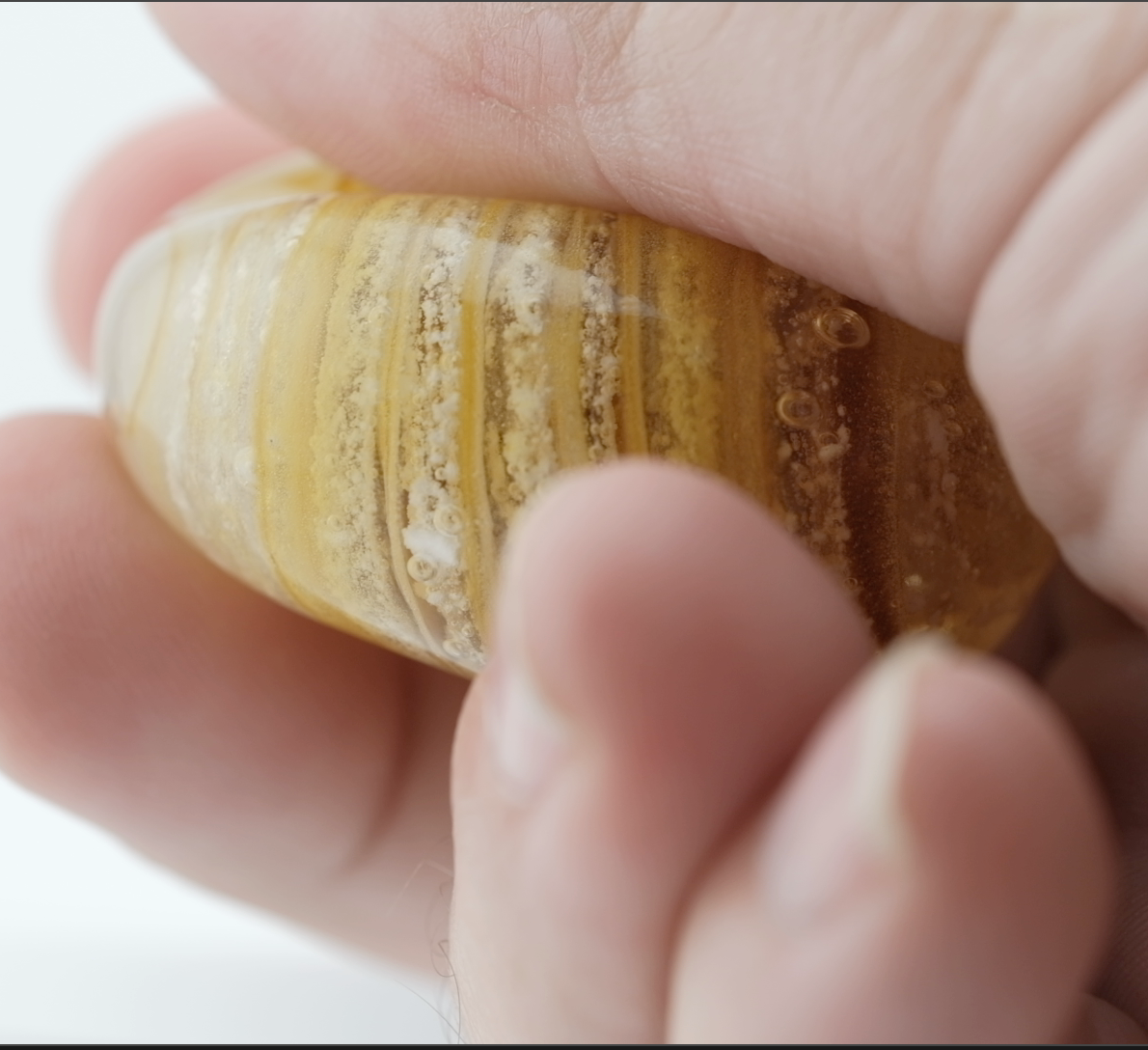 Amber Touch Stone